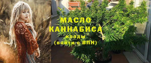молекула духа Бронницы