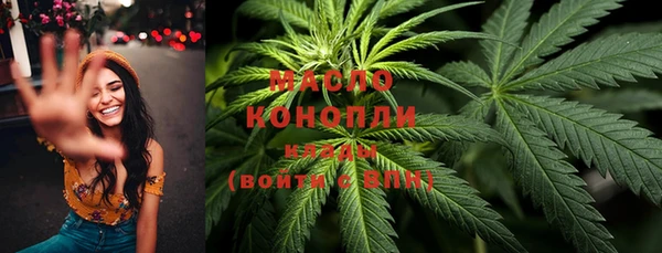 молекула духа Бронницы