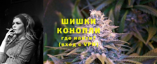 молекула духа Бронницы
